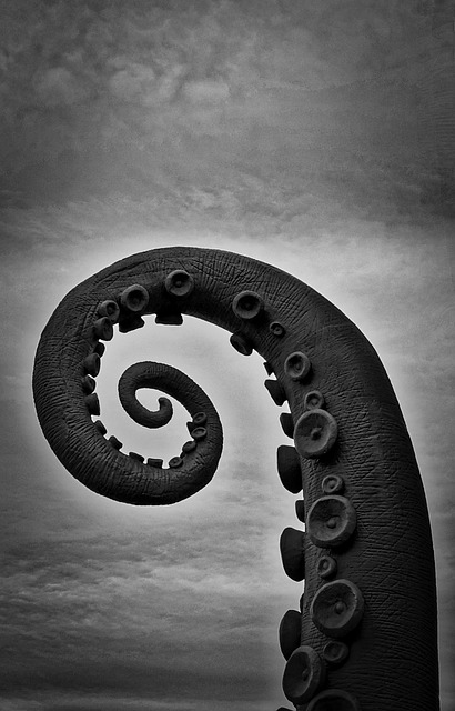 Image par Siggy Nowak de Pixabay